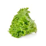 ideaPazar Doğal Waldman's Green Marul Tohumu (100 tohum)