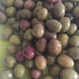 ideaPazar Tüplü İspanyol Manzalina Zeytin Fidanı