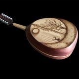 İDOL MÜZİK ALETLERİ Profesyonel sanat eseri ud elektro
