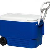 Igloo Wheelie 38 Buzluk