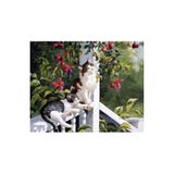 iğne izi Hı Stone 5d Elmas Boncuk Taş Işleme Mozaik Goblen Kit 50X65cm SGK70224