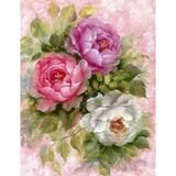 İğne İzi Hı Stone 5d Elmas Boncuk Taş Işleme Mozaik Goblen Kit 50X65CM SGK77877