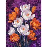 İğne İzi Hı Stone 5d Elmas Boncuk Taş Işleme Mozaik Goblen Kit 50X65CM SGK88672