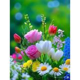 İğne İzi Hı Stone 5d Elmas Boncuk Taş Işleme Mozaik Goblen Kit 50X65CM SGK90509
