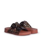 İgor Habana Brillo Leo S10336-381 Kiremit Kadın Terlik