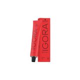 Igora Igora Royal 6-65 Koyu Kumral - Çikolata Altın Saç Boyası
