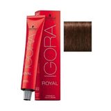 Igora Royal 5-6 Açık Kahve-Çikolata 7 Adet Saç Boyası+ 1 lt Oksidan