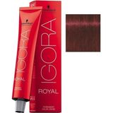 Igora Royal 5-88 Açık Kahve Yoğun Kızıl x3 Saç Boyası