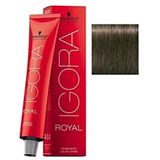 Igora Royal 6-28 Koyu Kumral Küllü Kızıl 7 Adet Saç Boyası + 1 lt Oksidan