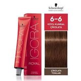Igora Royal 6-6 Koyu Kumral-Çikolata 6 Adet Saç Boyası