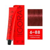 Igora Royal 6-88 Koyu Kumral Yoğun Kızıl x7 Saç Boyası
