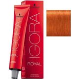 Igora Royal 8-77 60ml Amonyaklı Krem Saç Boyası Kadınlar İçin Canlı Renkler - Igora Royal 8-77 60Ml Saç Boyası