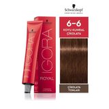 Igora Royal Çikolata Tonları 6-6 Koyu Kumral Çikolata 60 ml Saç Boyası