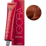 Igora Royal No:7.77 Kumral Yoğun Bakır Saç Boyası