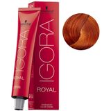 Igora Royal No:8.77 Açık Kumral Yoğun Bakır Saç Boyası