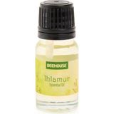 Ihlamur Esansiyel Buhurdanlık Yağı - Renkli - 10 ml - mumluk
