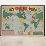 II.Dünya Savaşı Dekoratif Harita Posteri 60x90 cm AMC418