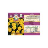 İKB FİDE VE TOHUM Çicek Tohumu | Sarı Top Kadife Çiceği Tohumu | Kapalı/Paketli Çicek Tohumu