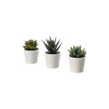 IKEA 3 Lü Yapay Kaktüs Seti Meridyendukkan Kaktüs 3 Lü Set 6 Cm Yapay Bitki Çiçek Saksılı Kaktüs