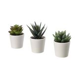 IKEA 3lü Yapay Kaktüs Saksılı Yapay Bitki, Kaktüs Mini 6 cm Ev Dekorasyon Iç-Dışmekan - Yeşil