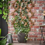 IKEA ASKHOLMEN bitki destek paneli koyu kahve - 00557503