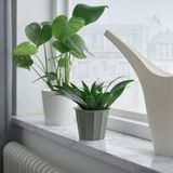 IKEA BUSKVERK alüminyum saksı gri - 30544458