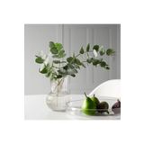 IKEA Dekoratif Cam Vazo Yükseklik: 17 Cm Ikea Çiçek Bitki Vazosu Çap: 12 Cm