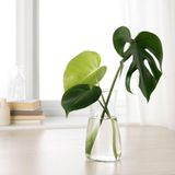 Ikea Dekoratif Vazo Karaf Küçük Boy Yükseklik: 20 Cm Çap: 11 Cm Hacim: 1.0 Lt Saydam Cam