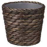 Ikea DRUVFLÄDER bitki saksısı, 12 cm, su sümbülü, gri