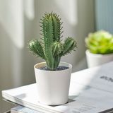 Ikea Fejka Kaktüs 14 Cm Mini Saksılı Yapay Kaktüs Bitki Çiçek