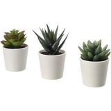 IKEA Fejka Kaktüs 3 Lü Set 6 cm Yapay Bitki Çiçek Saksılı Kaktüs - 001-Renkli