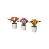 Ikea FEJKA saksılı yapay bitki, karışık renkler, 6 cm, çuha çiçeği, iç-dış mekan