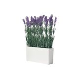 IKEA FEJKA Saksılı Yapay Bitki, Lavanta Çiçeği, Yeşil-Beyaz, İç/Dış Mekan