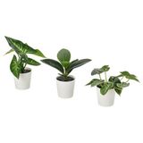 IKEA FEJKA saksılı yapay bitki yeşil - 40630064