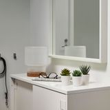 IKEA FEJKA saksılı yapay bitki yeşil - 50519764
