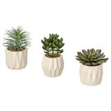IKEA FEJKA saksılı yapay bitki yeşil - 60630063