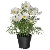IKEA FEJKA yapay bitki beyaz-yeşil - 40617784