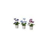 IKEA FEJKA Yapay Bitki, Hercaimenekşe, Çok Renkli, 6 cm, 3 Adet, İç/Dış Mekan