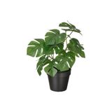 IKEA Fejka Yapay Bitki, Monstera