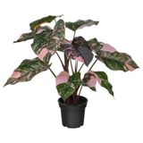 IKEA FEJKA yapay bitki pembe - 90600861