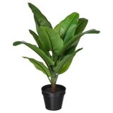 IKEA FEJKA yapay bitki yeşil - 10600860