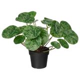 IKEA FEJKA yapay bitki yeşil - 30600859