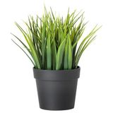 IKEA FEJKA yapay bitki yeşil - 50621002