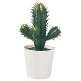 IKEA FEJKA yapay bitki yeşil - 60587154