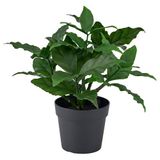 IKEA FEJKA yapay bitki yeşil - 60610748