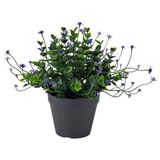 IKEA FEJKA yapay bitki yeşil - 80613251