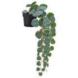 IKEA FEJKA yapay bitki yeşil - 90615264