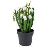 IKEA FEJKA yapay bitki yeşil-beyaz - 60613351