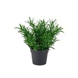 IKEA Fejka , Yeşil 9 cm, Biberiye , Yapay Bitki
