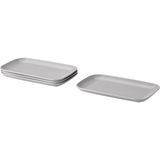 IKEA Färgklar Tabak Seti, Mat Açık Gri, 30 X 18 Cm, 4 Adet - 100 ml